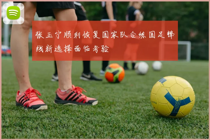张玉宁顺利恢复国家队合练国足锋线新选择面临考验