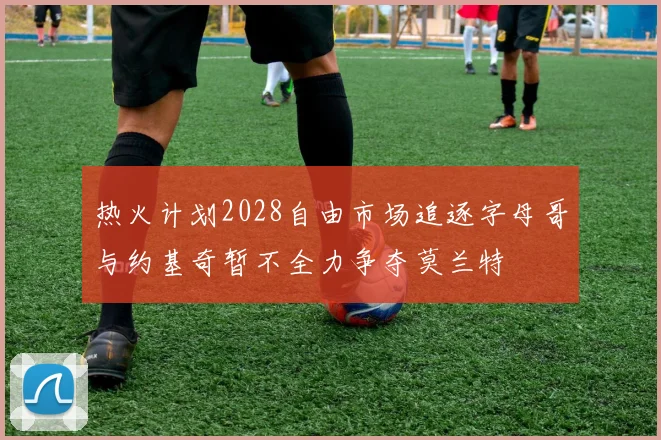 热火计划2028自由市场追逐字母哥与约基奇暂不全力争夺莫兰特